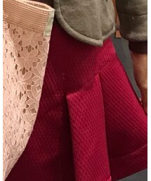 ANNA SUI | スカート