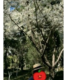 H&M DIVIDED | サンバイザー