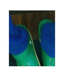 鱷魚牌 | モカシン/デッキシューズ