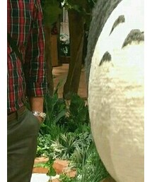 tw net | シャツ/ブラウス