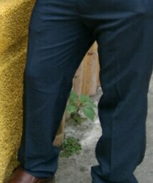 tw NET | スラックス