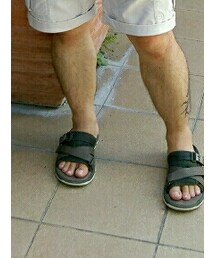 Timberland | モカシン/デッキシューズ