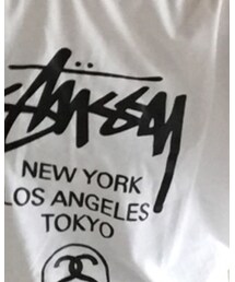 STUSSY | Tシャツ/カットソー