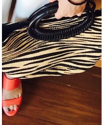 ZARA | かごバッグ