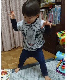 📸今年は寅年⁉️ | その他