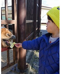 📸どーじょ😋 | その他