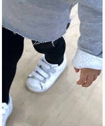 Birthday | タイツ/ストッキング