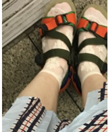 Tabio | ソックス/靴下