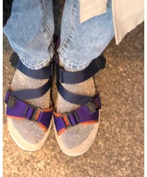 Tabio | ソックス/靴下