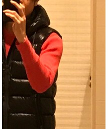 Healthknit | トップス