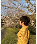 大島紬の「水着/着物・浴衣(浴衣)」