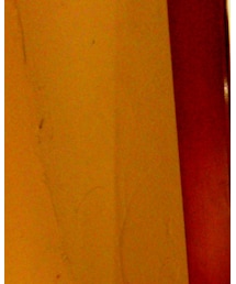 アヒルさん | パーカー