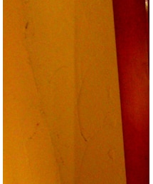 G- | デニムパンツ