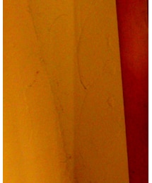 Timberland | ブーツ