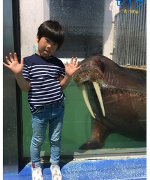 二見シーパラダイス | その他