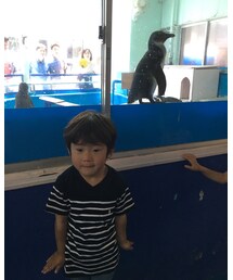 二見シーパラダイス | その他