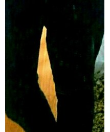 BEAMS | その他パンツ