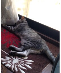 レオ様 | その他