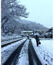 雪！ | その他