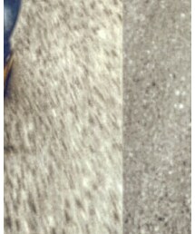 双子コーデ | その他