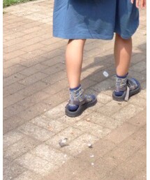 靴下屋 | ソックス/靴下