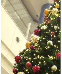 Christmas | その他
