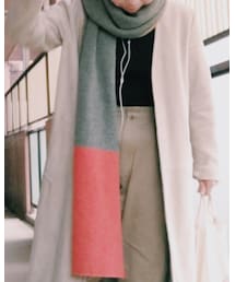 iliann loeb | マフラー