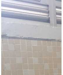 shadez | サングラス