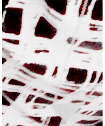 ANAP | その他トップス