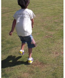 GO TO HOLLYWOOD | Tシャツ/カットソー