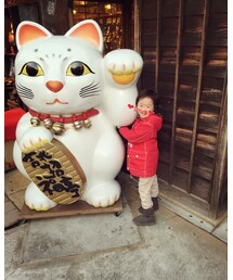 招きネコ🐱 | その他