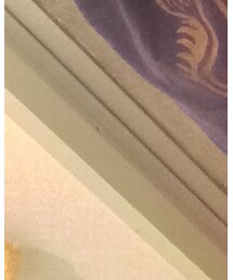 Thn Wildhearts | Tシャツ/カットソー