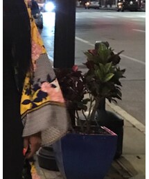 Pretty Little Things | ハット