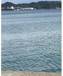 niko and... | ニット/セーター