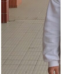 POLO | シャツ/ブラウス