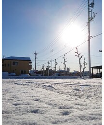 雪 | その他