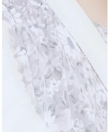 ehka sopo | ワンピース