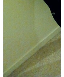 UNDER ARMOUR | レッグウェア