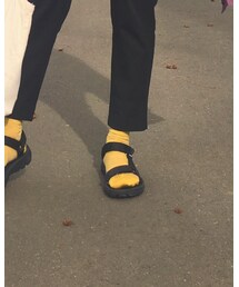 Tabio | ソックス/靴下