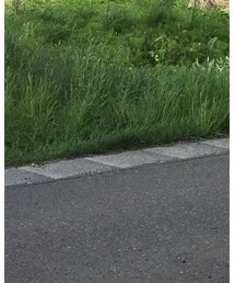 UNIQLO | デニムジャケット
