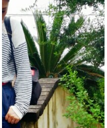 Manhattan Portage | ハンドバッグ