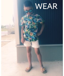 VANS | サングラス