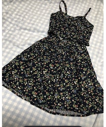 F i.n.t | セットアップ