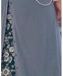 quinoa | ワンピース