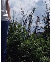 Dickies | その他パンツ