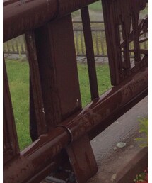 RALPH LAUREN | ブレスレット