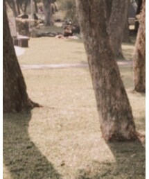 無印良品 | Tシャツ/カットソー