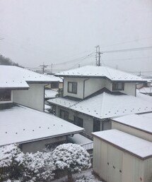 なし | 雪降ってるので…今日は冬眠❤︎(その他)
