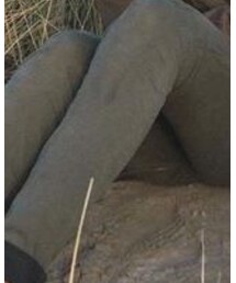 LIU・JO | その他パンツ