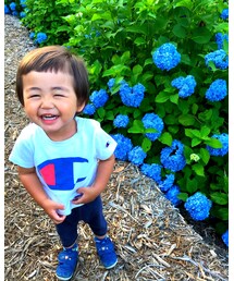 Familiar  | スニーカー